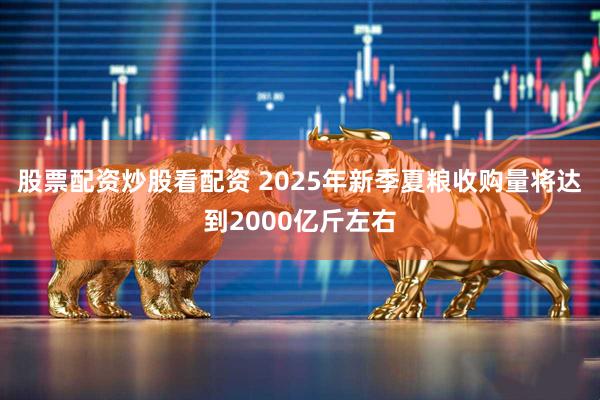 股票配资炒股看配资 2025年新季夏粮收购量将达到2000亿斤左右