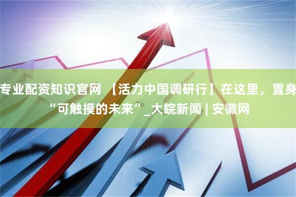 专业配资知识官网 【活力中国调研行】在这里，置身“可触摸的未来”_大皖新闻 | 安徽网