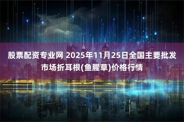 股票配资专业网 2025年11月25日全国主要批发市场折耳根(鱼腥草)价格行情