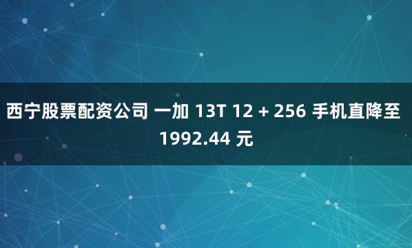 西宁股票配资公司 一加 13T 12 + 256 手机直降至 1992.44 元